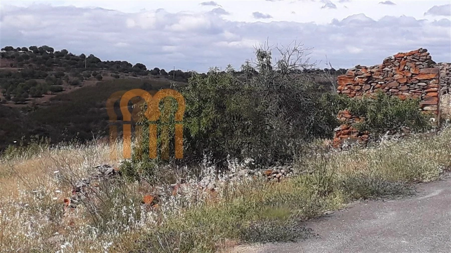 Terreno Agricola ou Rústico para Venda em Espirito Santo Foto 5