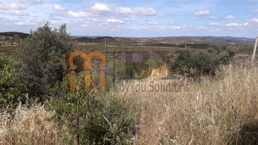 Terreno Agricola ou Rústico para Venda em Espirito Santo Foto 6