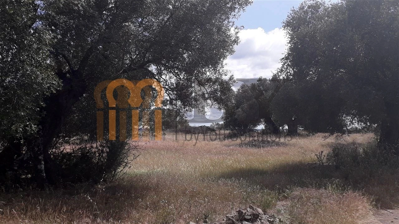 Terreno Agricola ou Rústico para Venda em Espirito Santo Foto 7