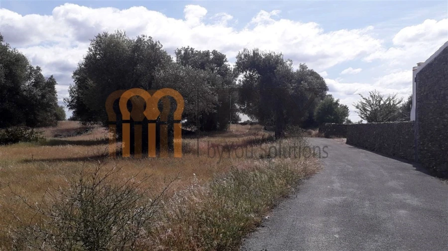 Terreno Agricola ou Rústico para Venda em Espirito Santo Foto 4