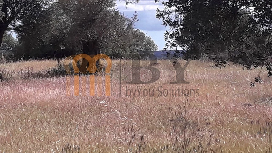 Terreno Agricola ou Rústico para Venda em Espirito Santo Foto 9