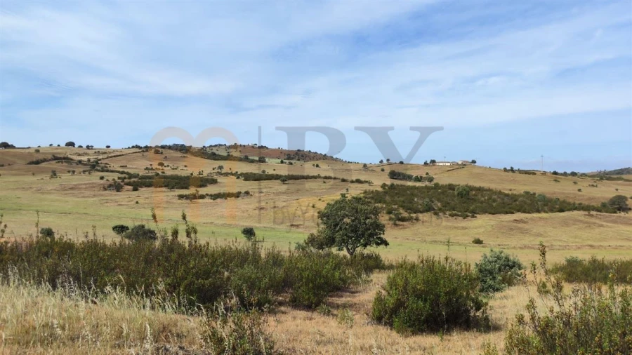 Quinta para Venda em Castro Verde e Casével Foto 4