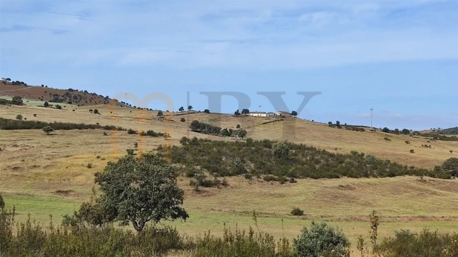 Quinta para Venda em Castro Verde e Casével Foto 5