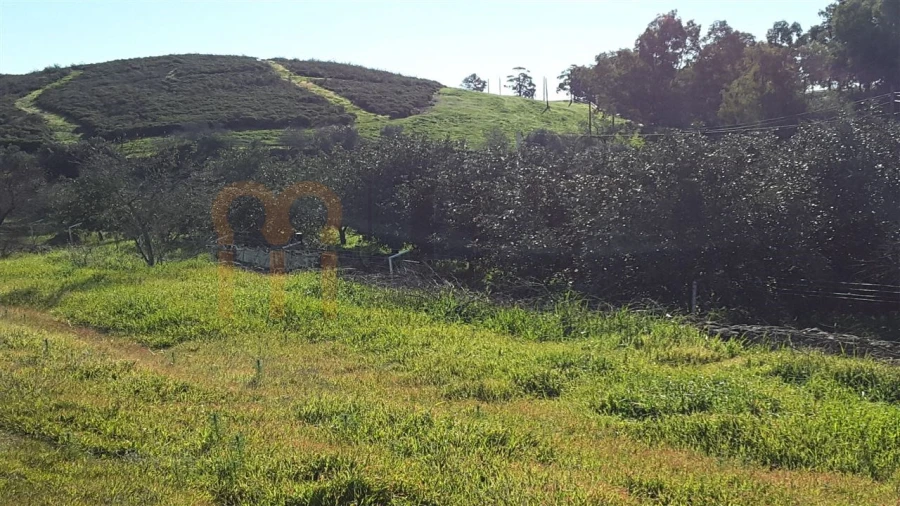 Quinta para Venda em Espirito Santo Foto 3