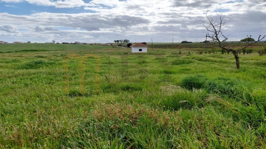 Terreno para Venda em Entradas Foto 2