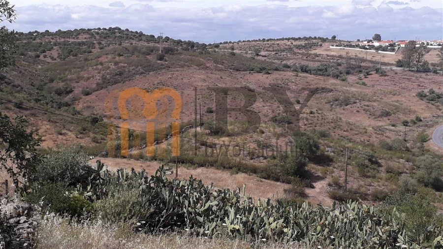 Terreno Agricola ou Rústico para Venda em Espirito Santo Foto 5
