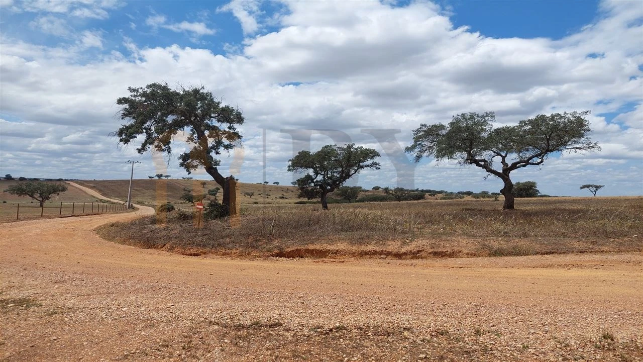 Terreno Agricola ou Rústico para Venda em Alcaria Ruiva Foto 2