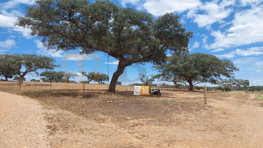 Terreno Agricola ou Rústico para Venda em Alcaria Ruiva