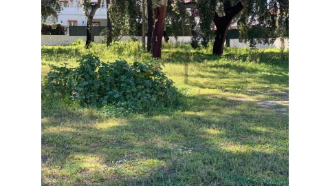 Terreno para Venda em Palmela