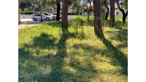 Terreno para Venda em Palmela