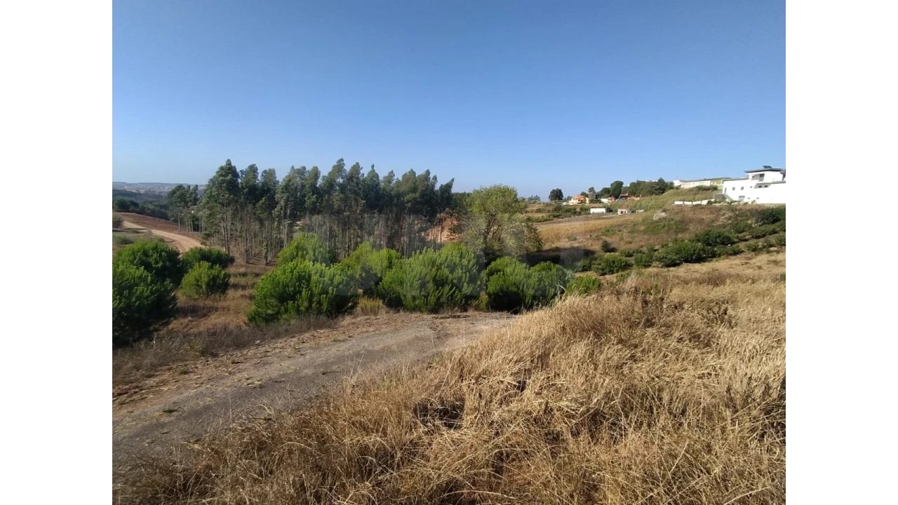 Terreno para Venda em Miragaia e Marteleira Foto 13