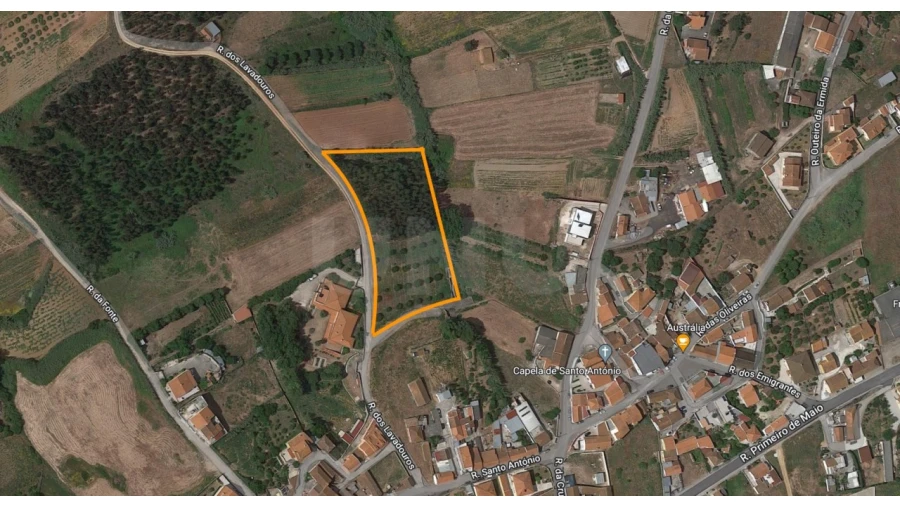 Terreno para Venda em Miragaia e Marteleira Foto 8