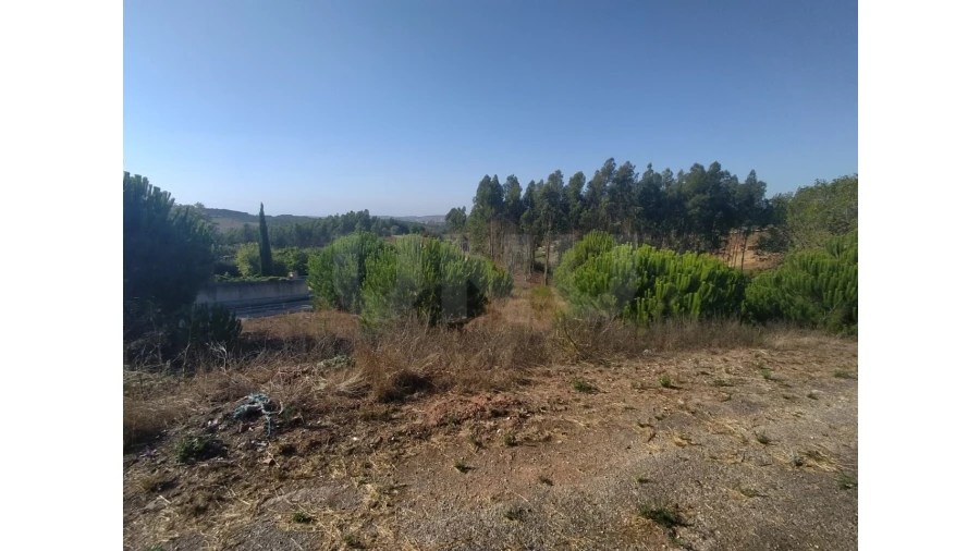 Terreno para Venda em Miragaia e Marteleira Foto 9