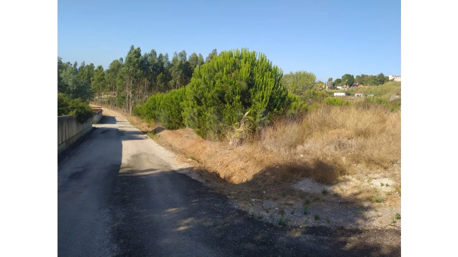 Terreno para Venda em Miragaia e Marteleira Foto 12