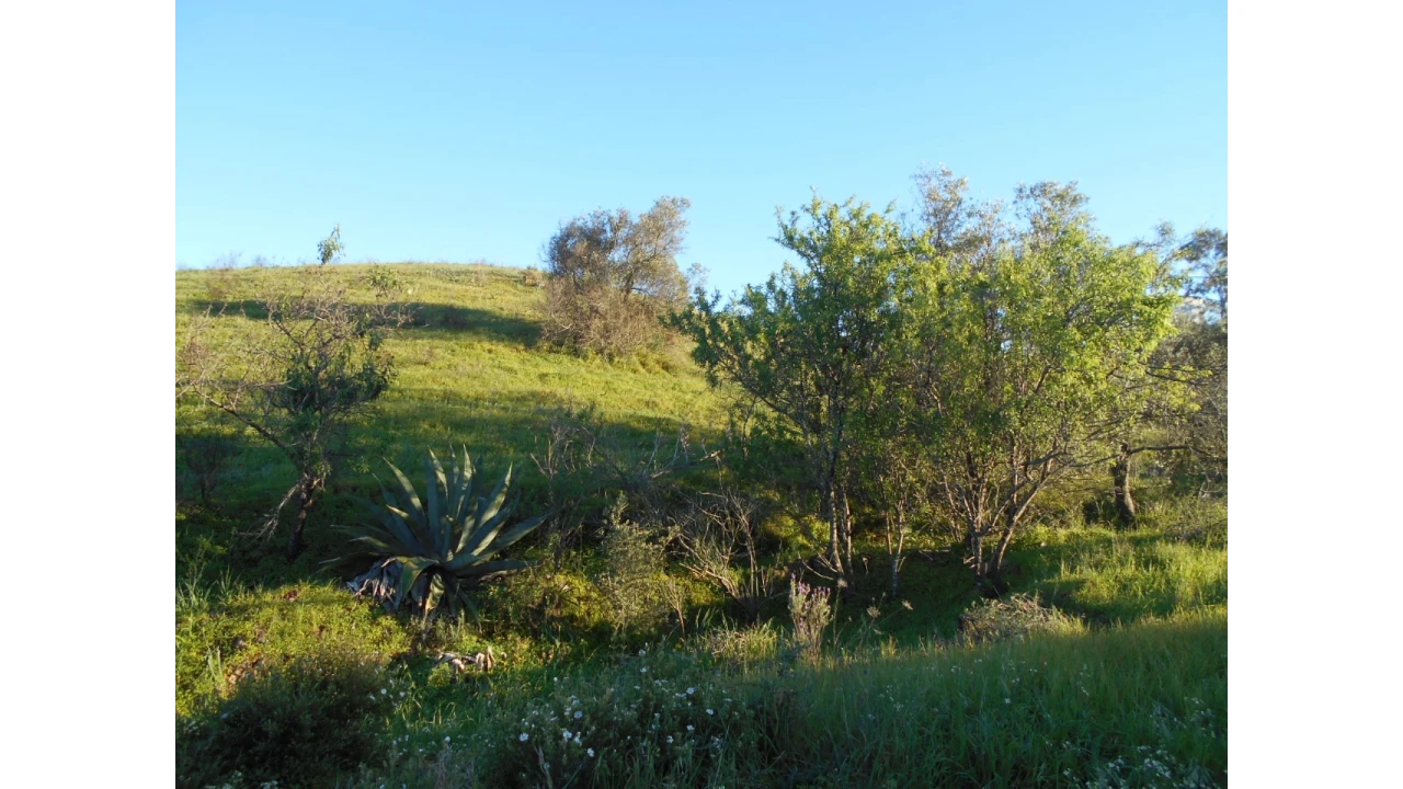 Terreno Agricola ou Rústico para Venda em Castro Marim Foto 1
