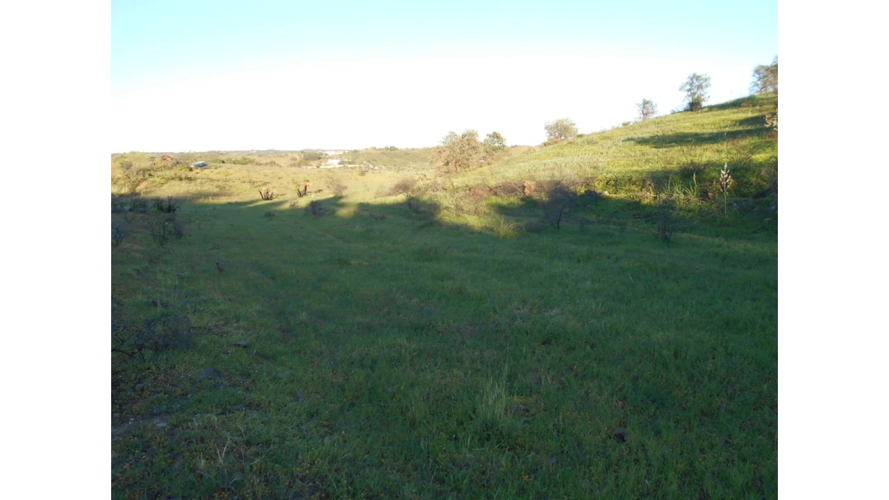 Terreno Agricola ou Rústico para Venda em Castro Marim Foto 6