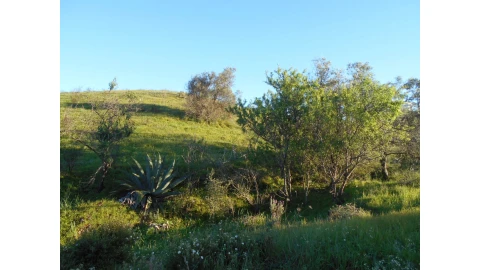 Terreno Agricola ou Rústico para Venda em Castro Marim