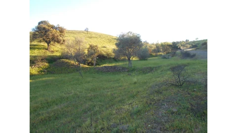 Terreno Agricola ou Rústico para Venda em Castro Marim