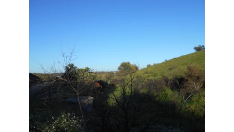 Terreno Agricola ou Rústico para Venda em Castro Marim