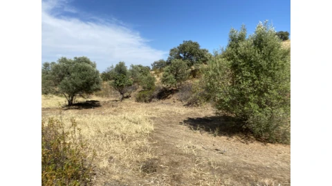 Terreno Agricola ou Rústico para Venda em Castro Marim