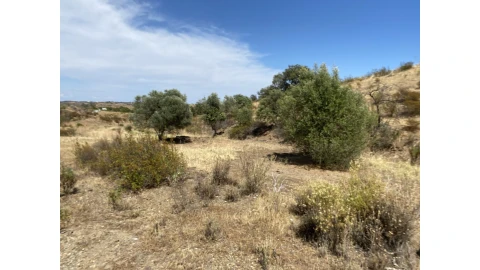 Terreno Agricola ou Rústico para Venda em Castro Marim