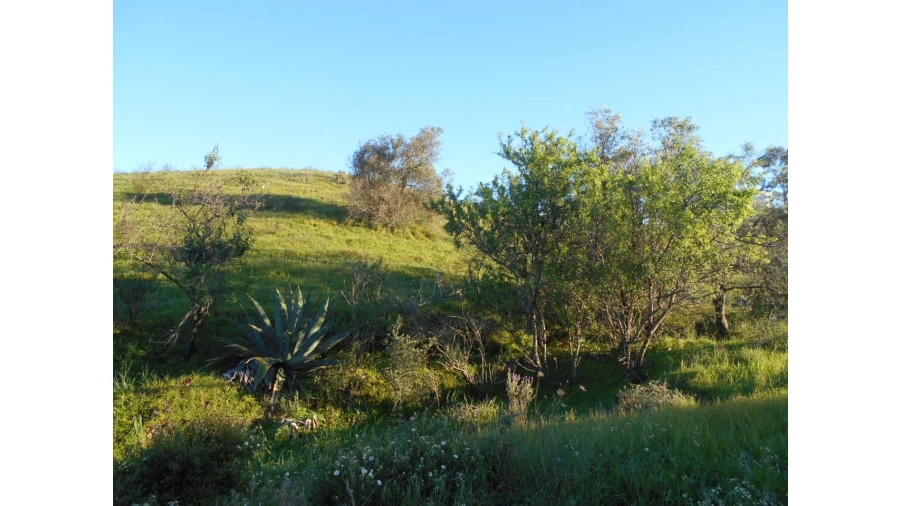 Terreno Agricola ou Rústico para Venda em Castro Marim