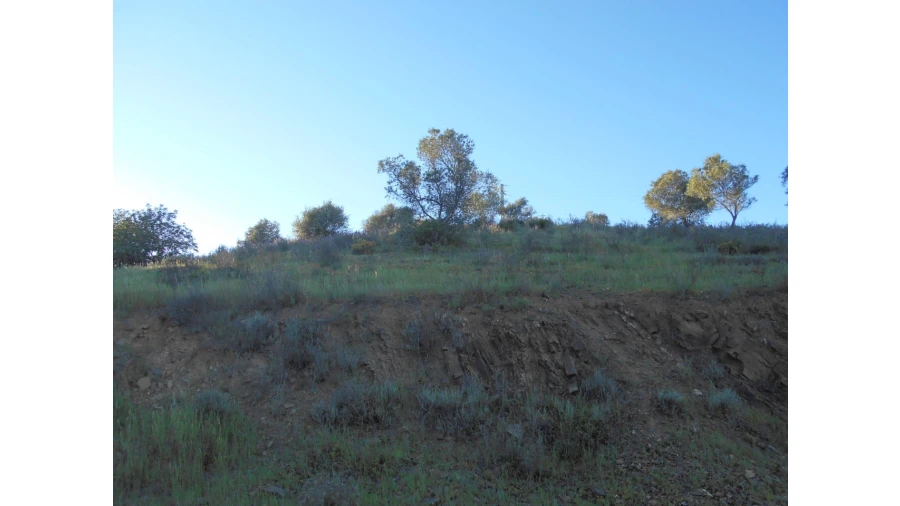 Terreno Agricola ou Rústico para Venda em Castro Marim Foto 8