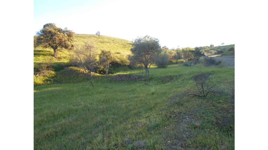 Terreno Agricola ou Rústico para Venda em Castro Marim Foto 3