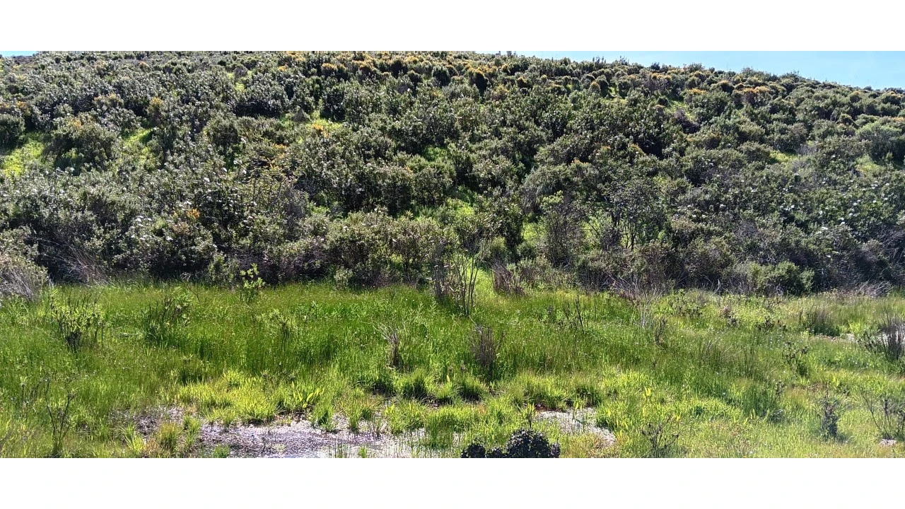 Terreno Misto para Venda em Castro Marim Foto 10