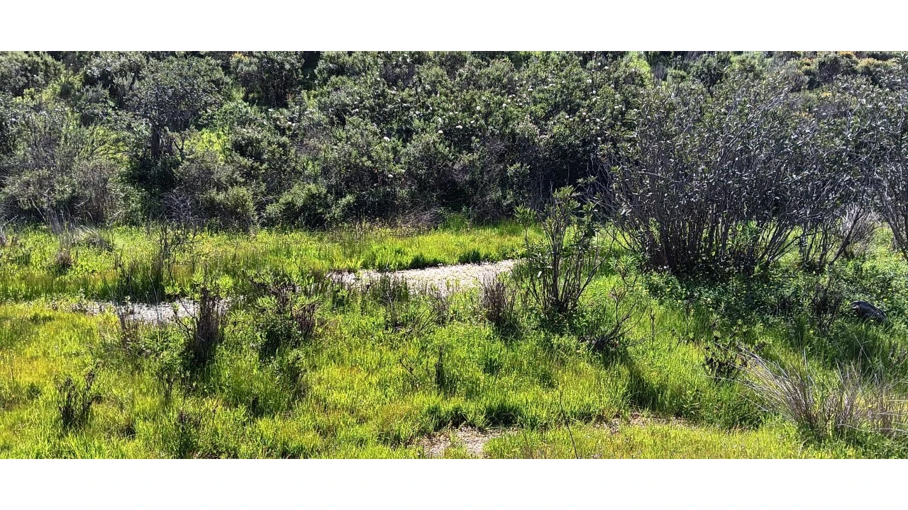 Terreno Misto para Venda em Castro Marim Foto 11