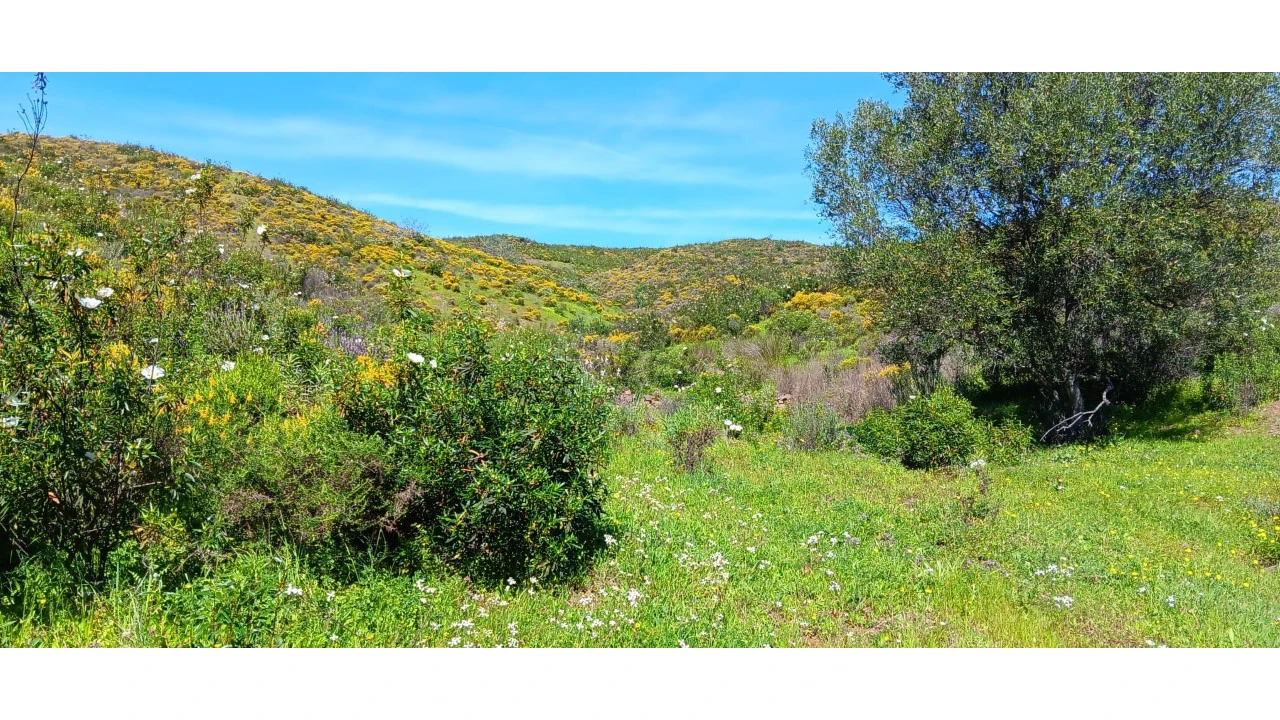 Terreno Misto para Venda em Castro Marim Foto 12