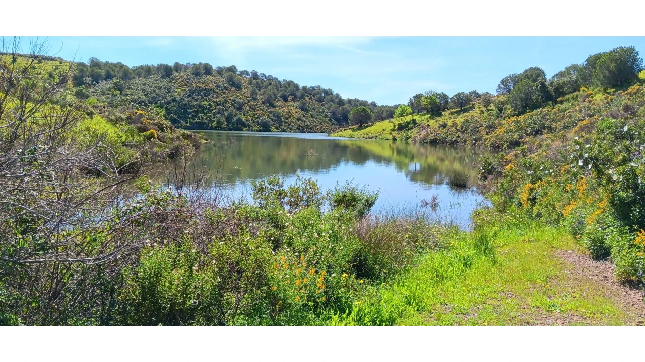 Terreno Misto para Venda em Castro Marim Foto 13
