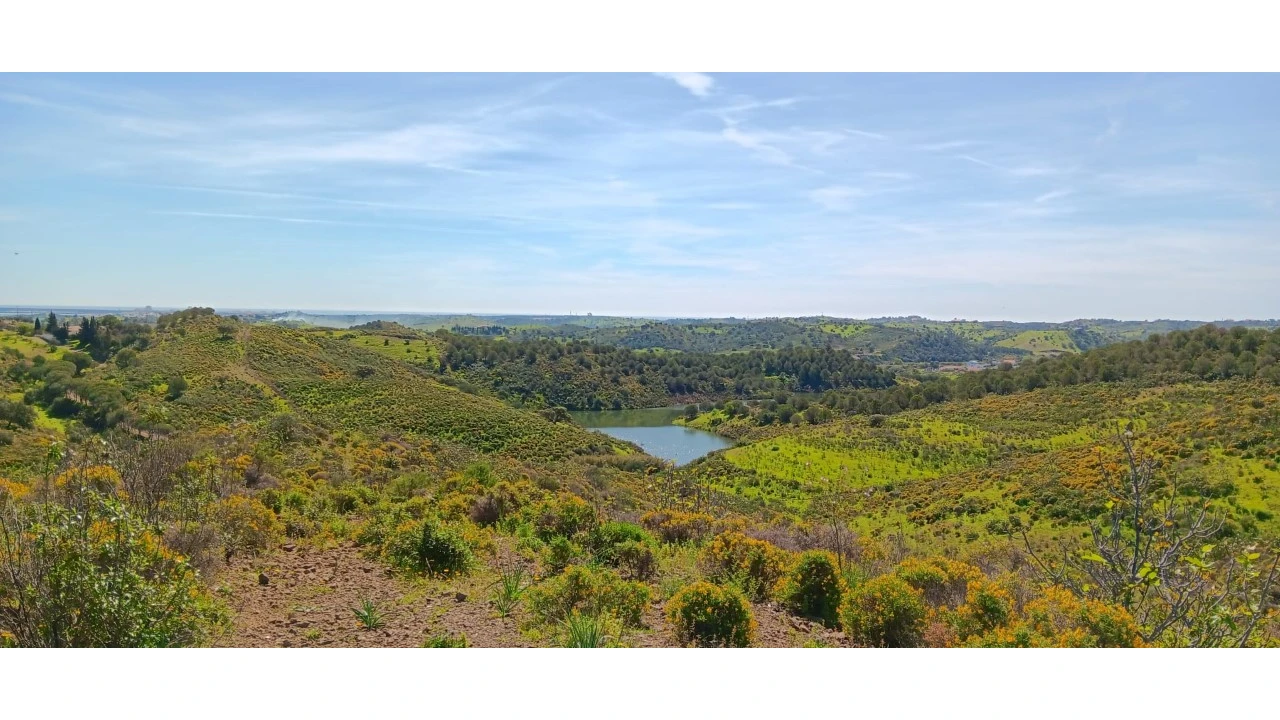 Terreno Misto para Venda em Castro Marim Foto 17