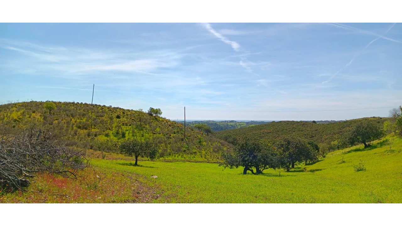 Terreno Misto para Venda em Castro Marim Foto 19
