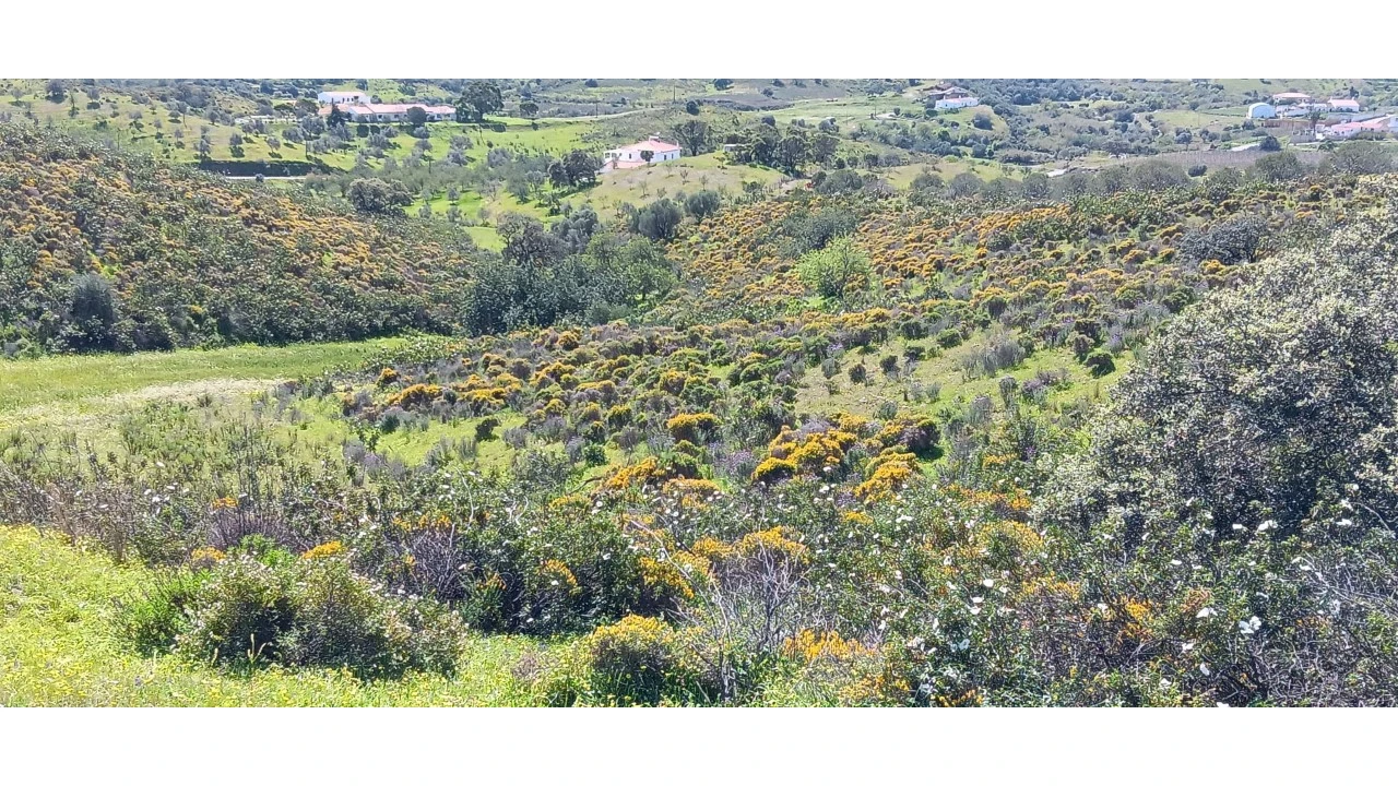 Terreno Misto para Venda em Castro Marim Foto 22