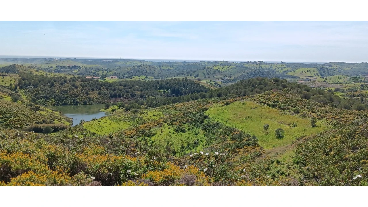 Terreno Misto para Venda em Castro Marim Foto 23