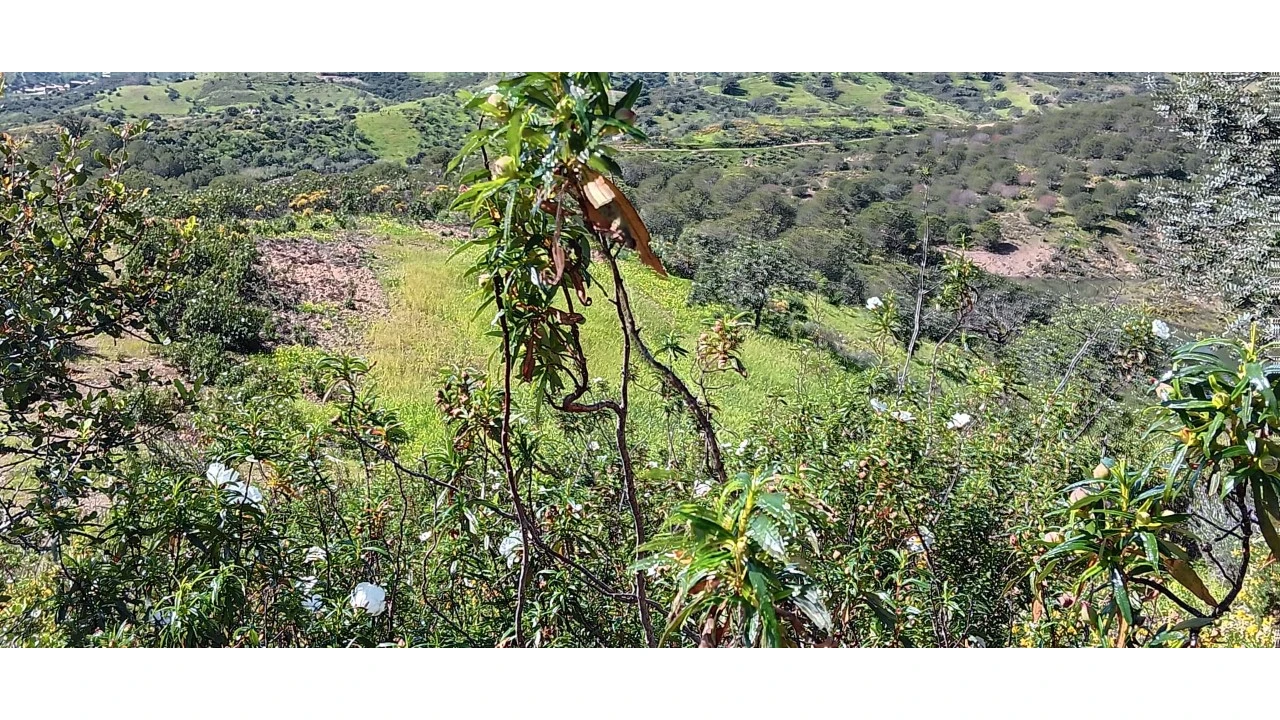 Terreno Misto para Venda em Castro Marim Foto 24
