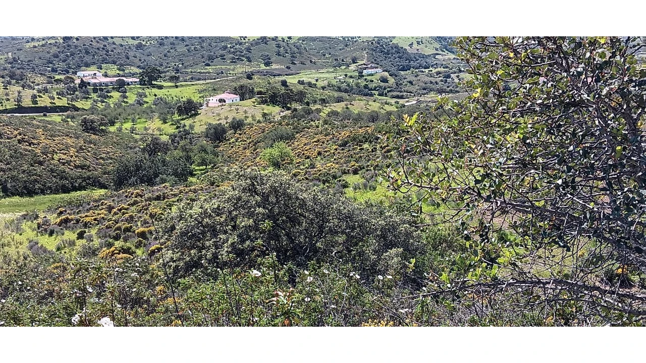 Terreno Misto para Venda em Castro Marim Foto 25
