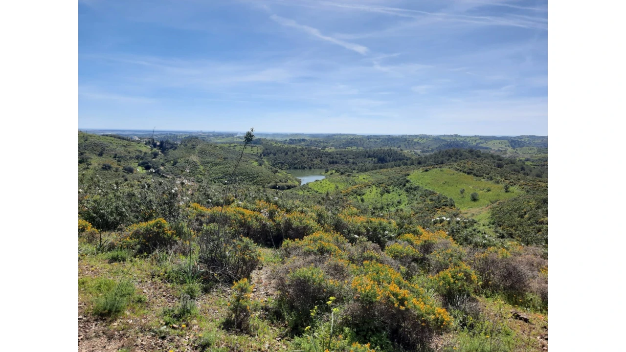 Terreno Misto para Venda em Castro Marim Foto 36