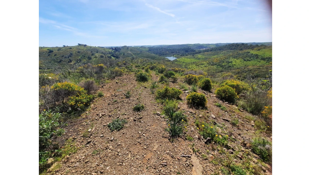 Terreno Misto para Venda em Castro Marim Foto 39