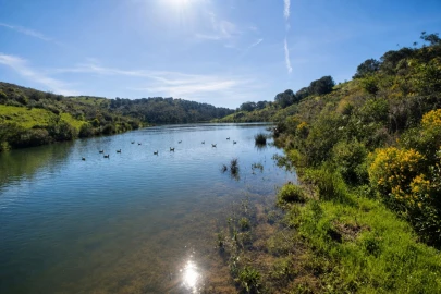 Terreno Misto para Venda em Castro Marim