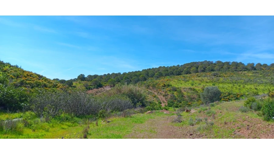 Terreno Misto para Venda em Castro Marim Foto 9