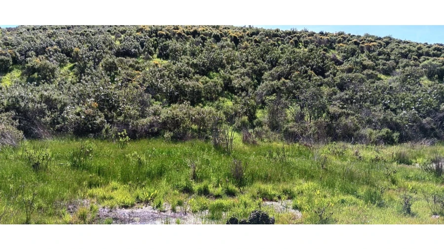 Terreno Misto para Venda em Castro Marim Foto 10