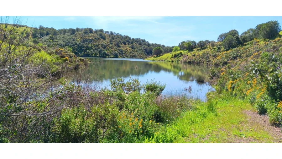 Terreno Misto para Venda em Castro Marim Foto 13
