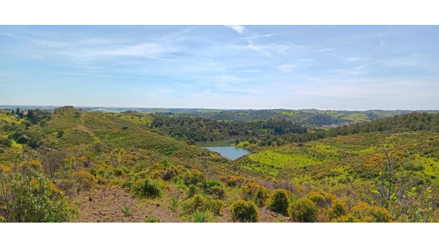 Terreno Misto para Venda em Castro Marim Foto 17