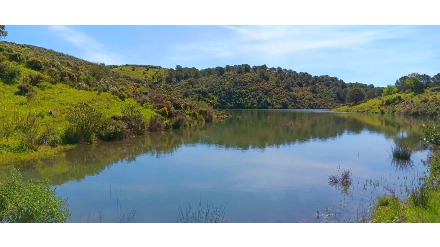 Terreno Misto para Venda em Castro Marim