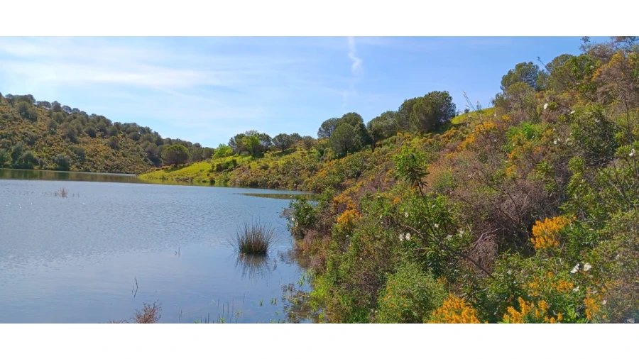 Terreno Misto para Venda em Castro Marim Foto 16