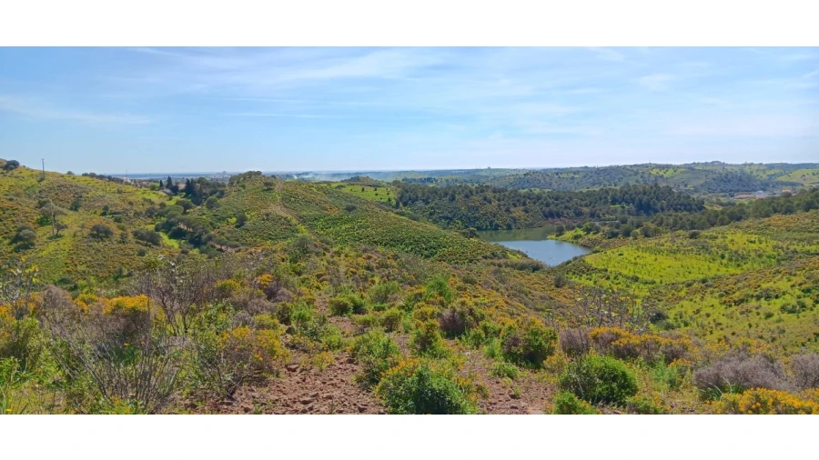 Terreno Misto para Venda em Castro Marim Foto 18