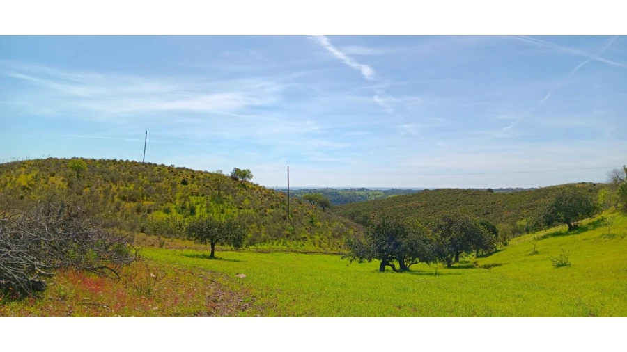 Terreno Misto para Venda em Castro Marim Foto 19