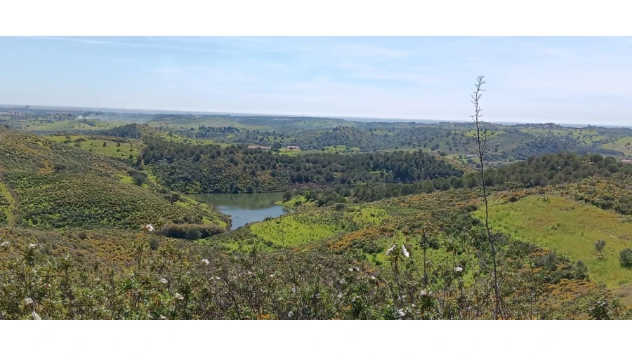 Terreno Misto para Venda em Castro Marim Foto 20